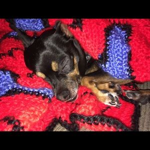 Meet your Posher, Elaina